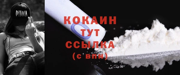 соль ск Елизово