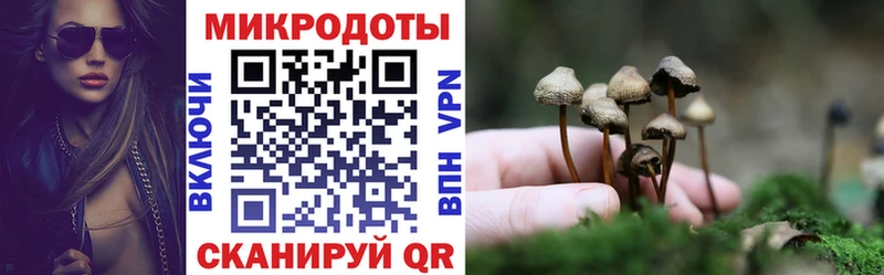 Псилоцибиновые грибы MAGIC MUSHROOMS  Котельнич 